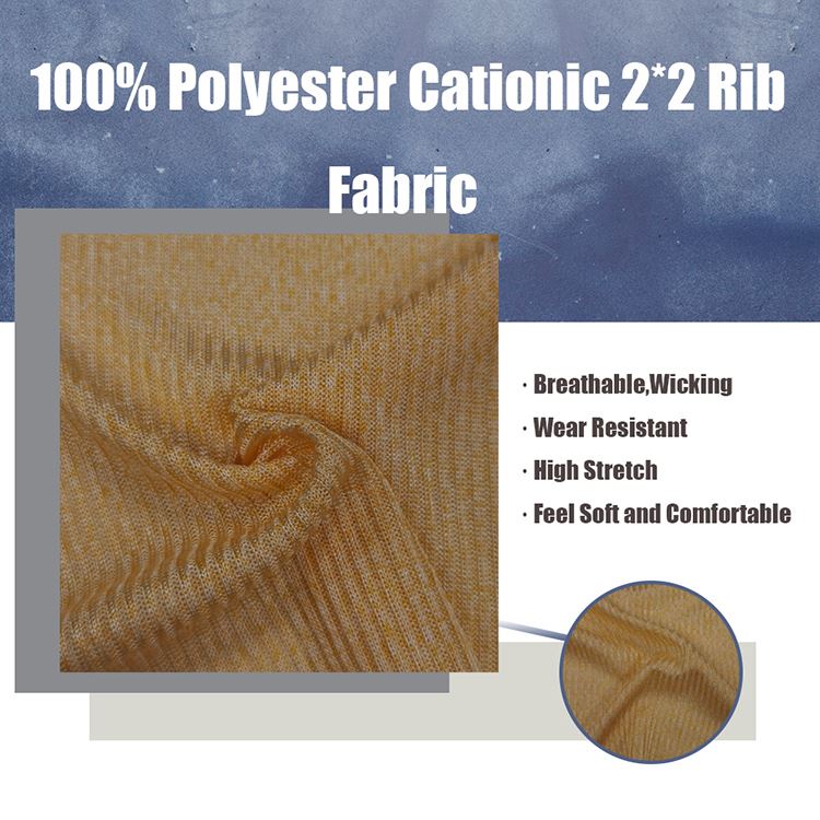 product-750-750 Polyester Cationic Rib Fabric